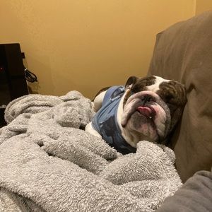 Meet your Posher, Tucker